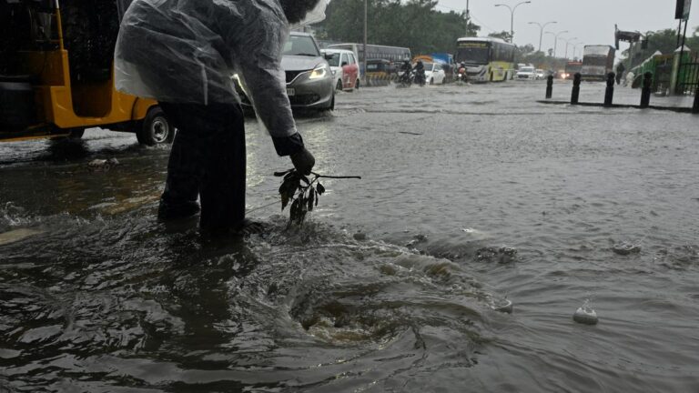 2782_15_10_2024_17_2_56_3_STAGNATED_RAIN_WATER_CLEARING_1.JPG
