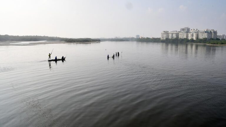 Adyar_River_Mouth_08.jpg