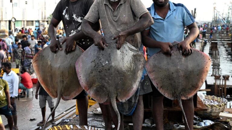FISHERMAN20ANNUAL20LEAN20FISHING20BAN20BOAT20VENDORS20TRADERS_12.jpg