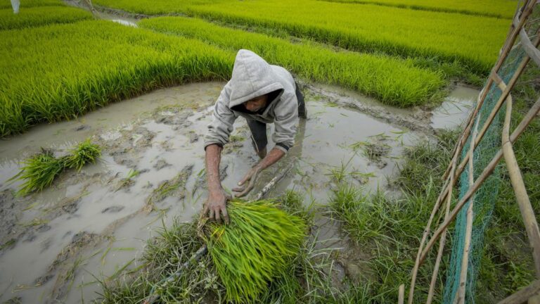 India_Economy_04619.jpg