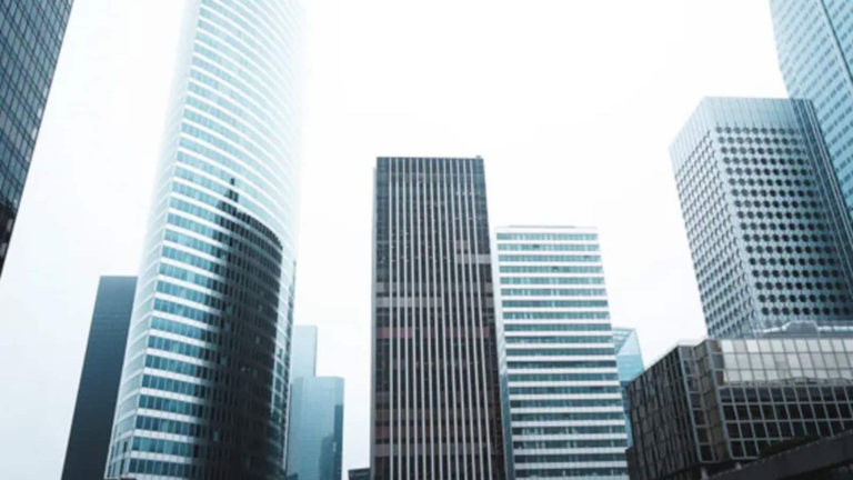 company_4_1733465206851_1733465215415.png
